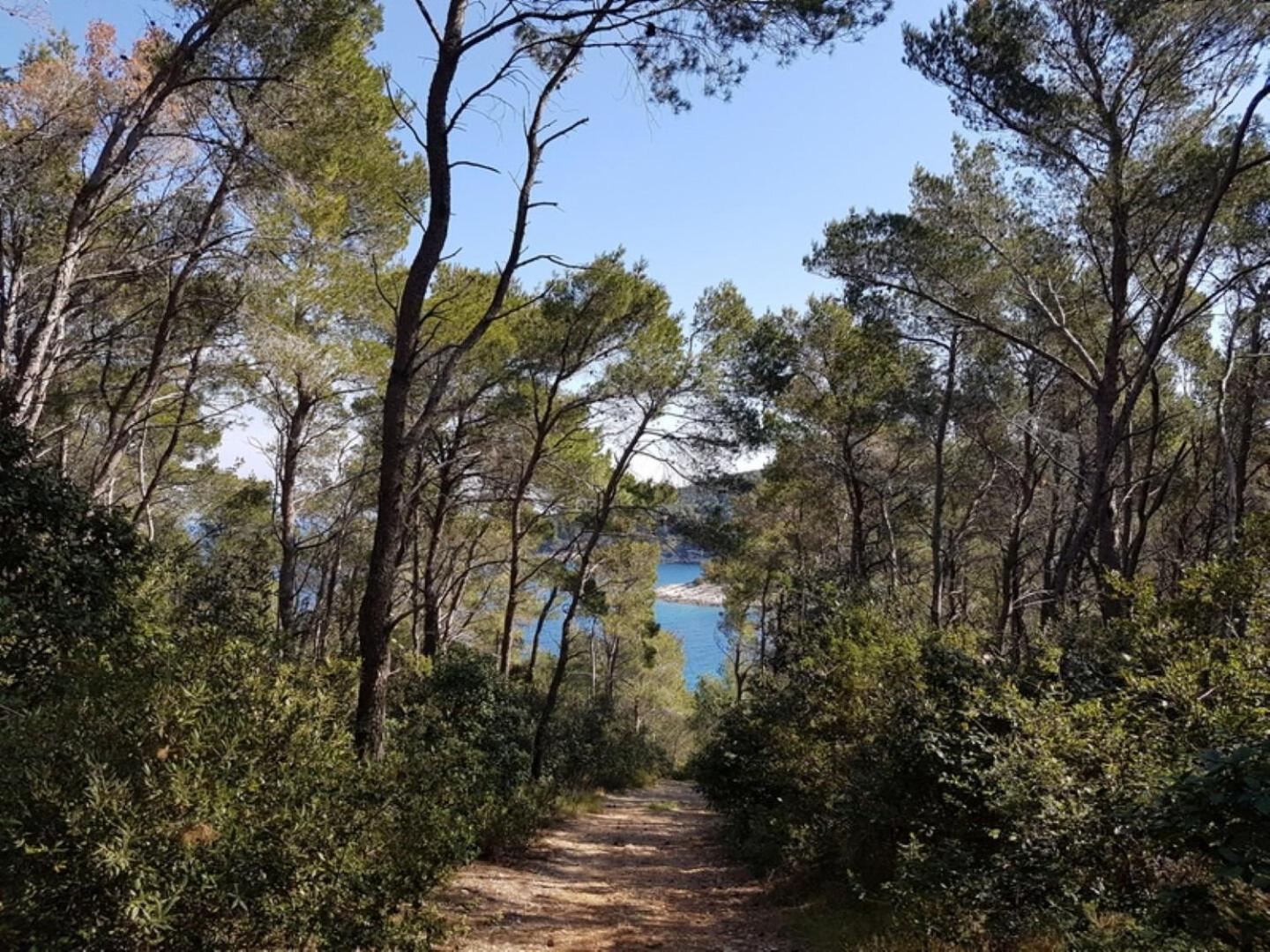 House Villa Bistrana Vela Luka Bagian luar foto