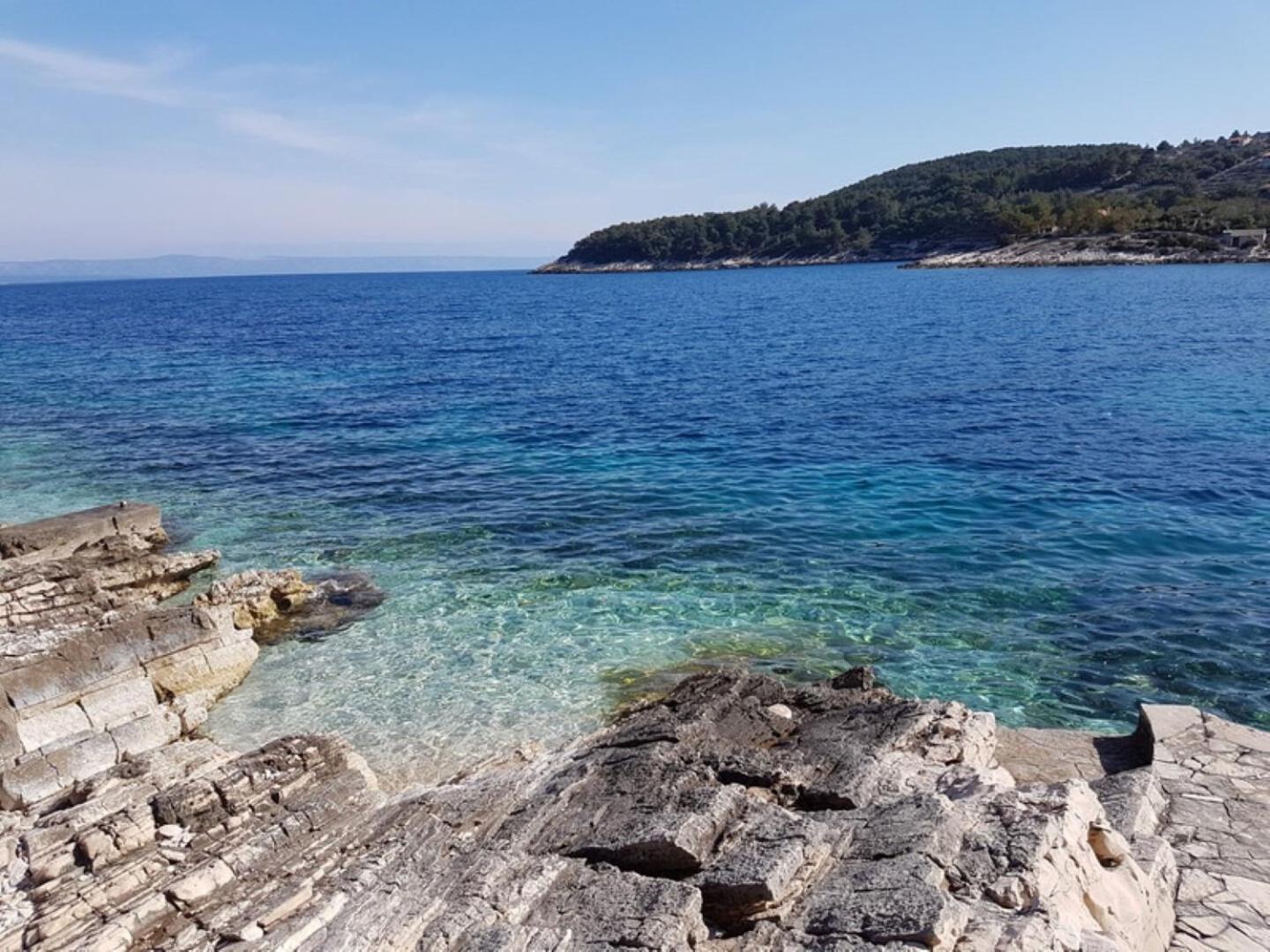 House Villa Bistrana Vela Luka Bagian luar foto